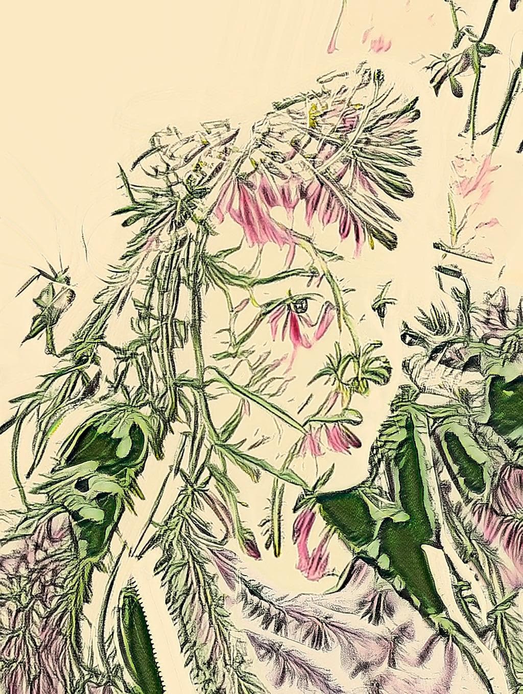 Person’s face replaced with pink and green floral pattern