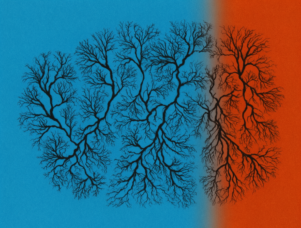 Generative filament bloom