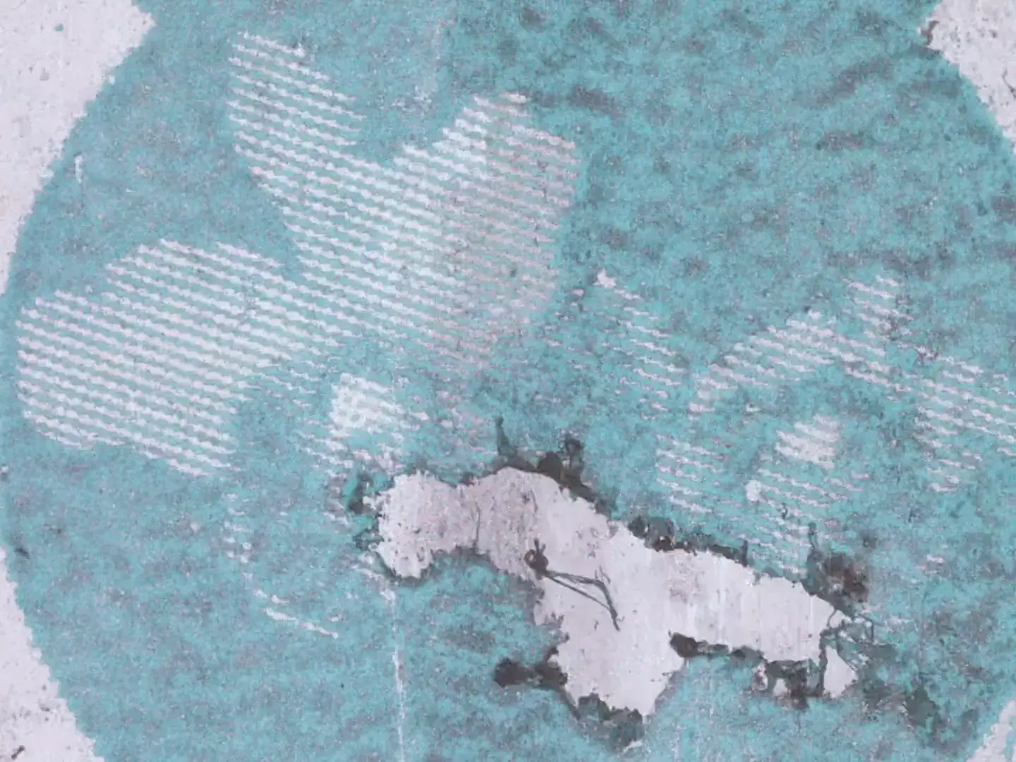 Ghostly flower silhouette with white laserprint lines on cyan decayed film frame