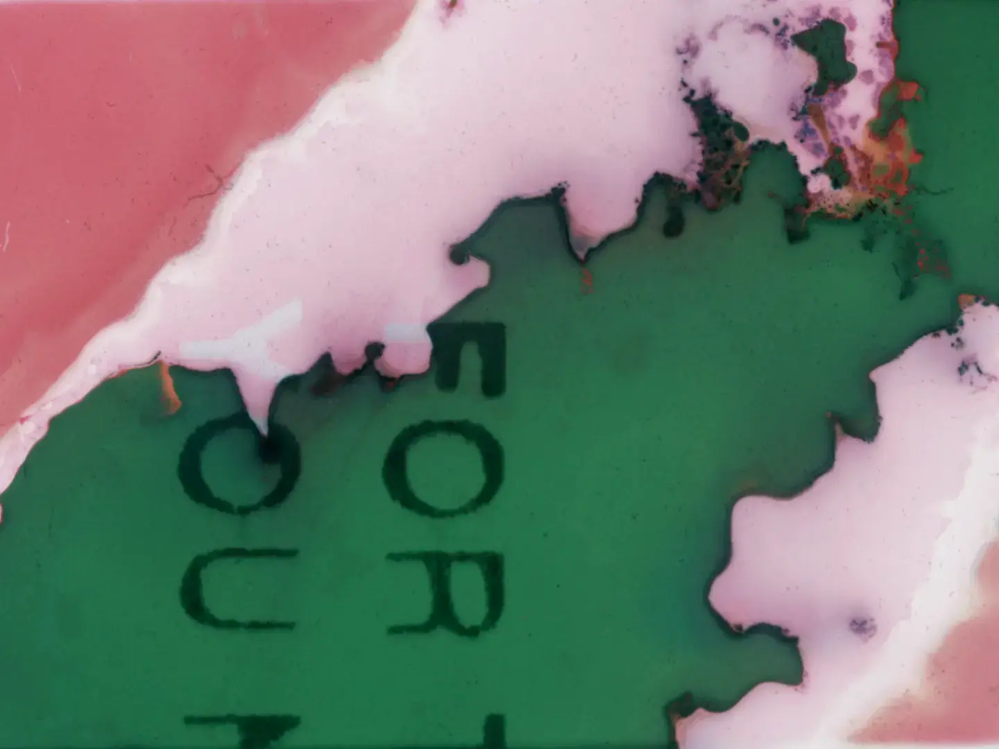 Chromaflex processed film frame with saturated pink and green color fields, organic bleeding edges, and partially visible text emerging through chemical reactions