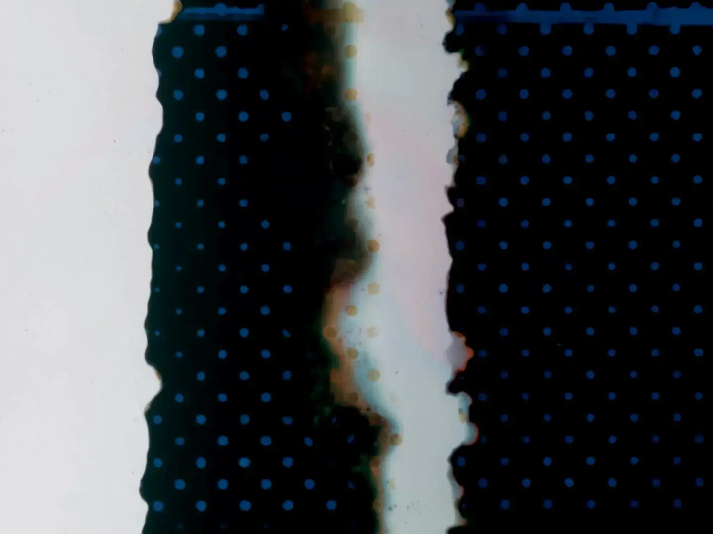 Split-frame Chromaflex composition with dark teal dot patterns on either side and a central vertical strip of light with burned organic edges and color fringing