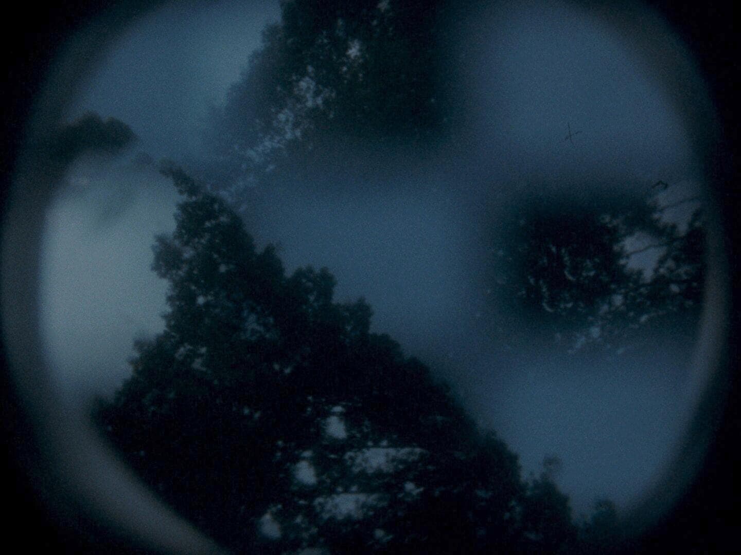 Trees appear inside a lens barrel