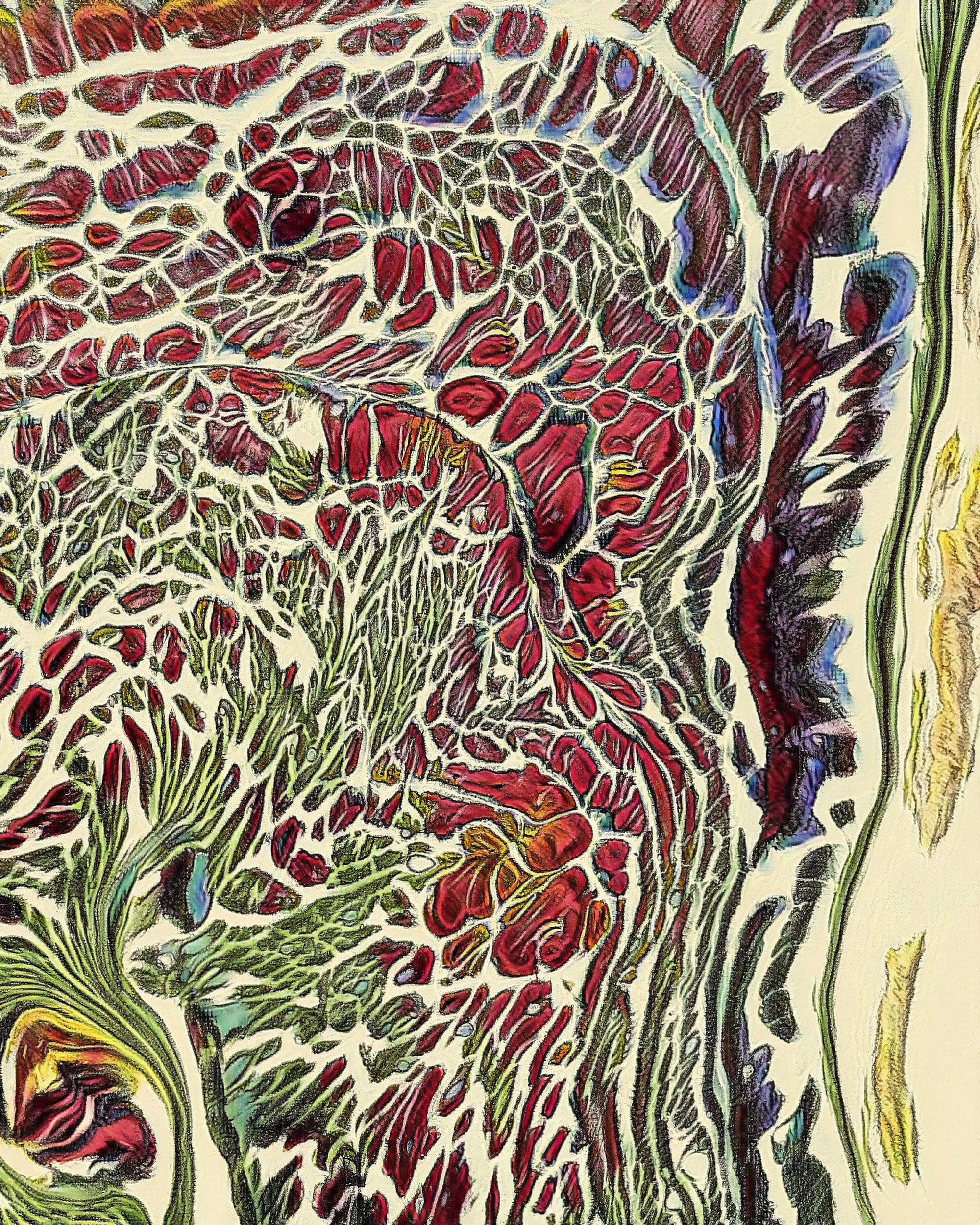 abstract image withflower textures in red, purple, yellow, and greens