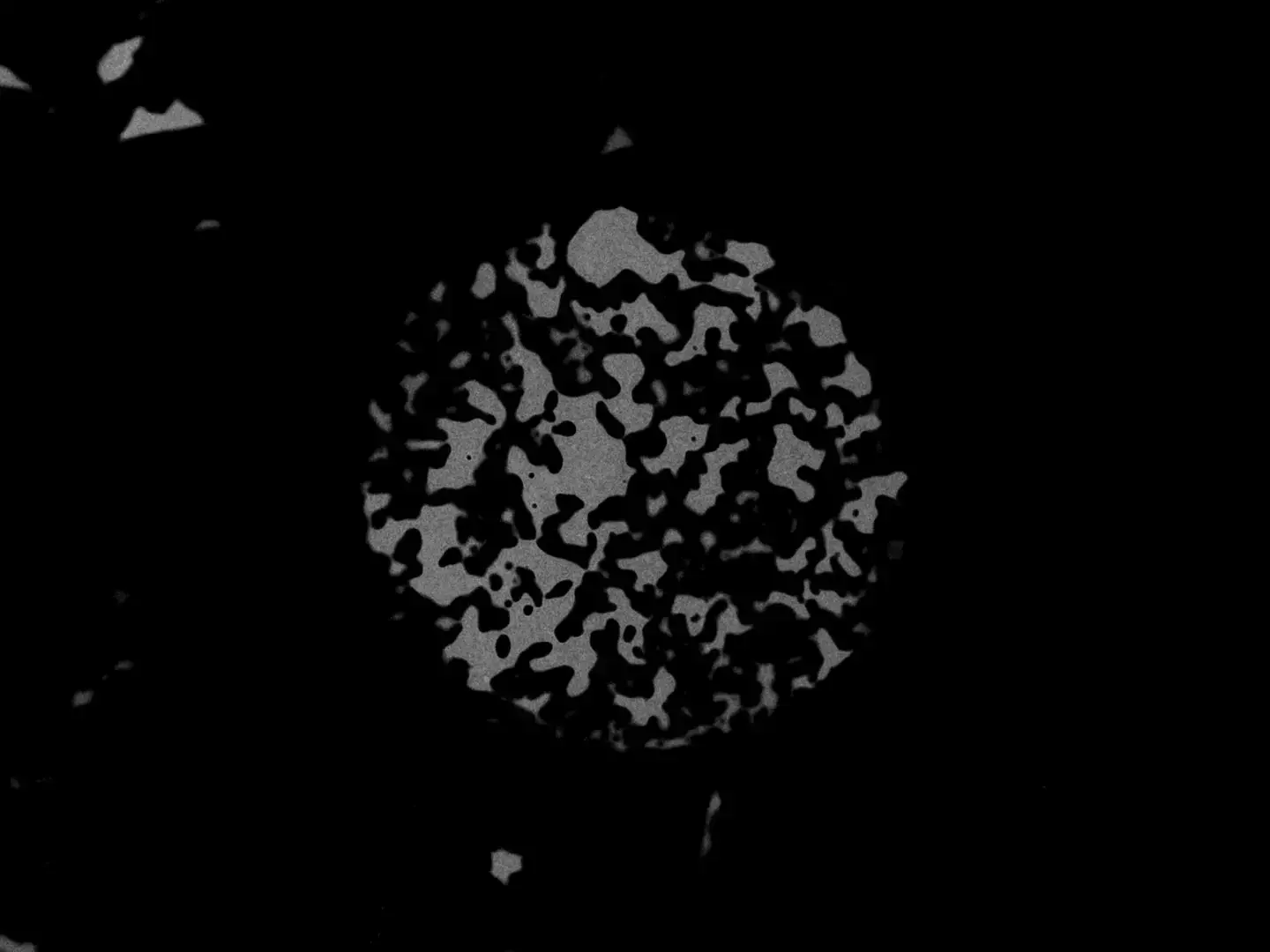 Handmade cameraless film frame with mottled gray circular shape against black background, organic camouflage-like texture with visible film grain