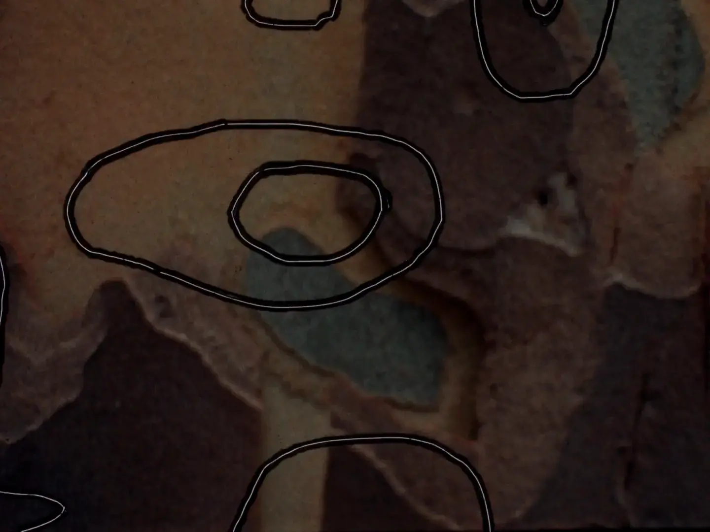 Organic oval shapes etched into Ektachrome film frame with camouflage-like bark patterns in brown and olive tones