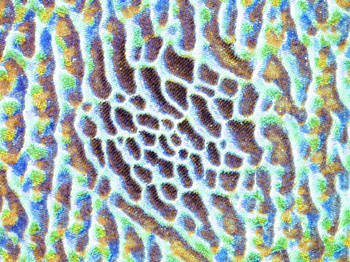 Cellular pattern with dark spots spiraling outward on blue, green, and orange textured surface