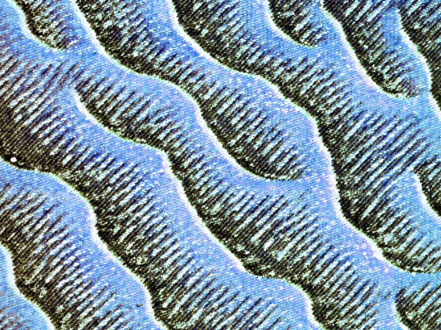 Repeating diagonal wave pattern in blue and black with grainy laserprint texture