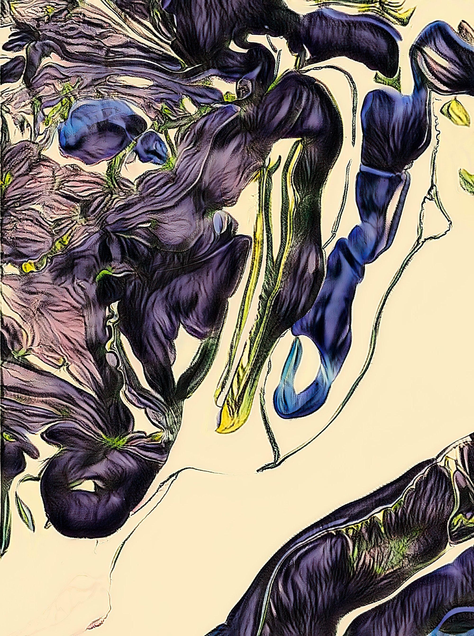 abstract image with floral texture