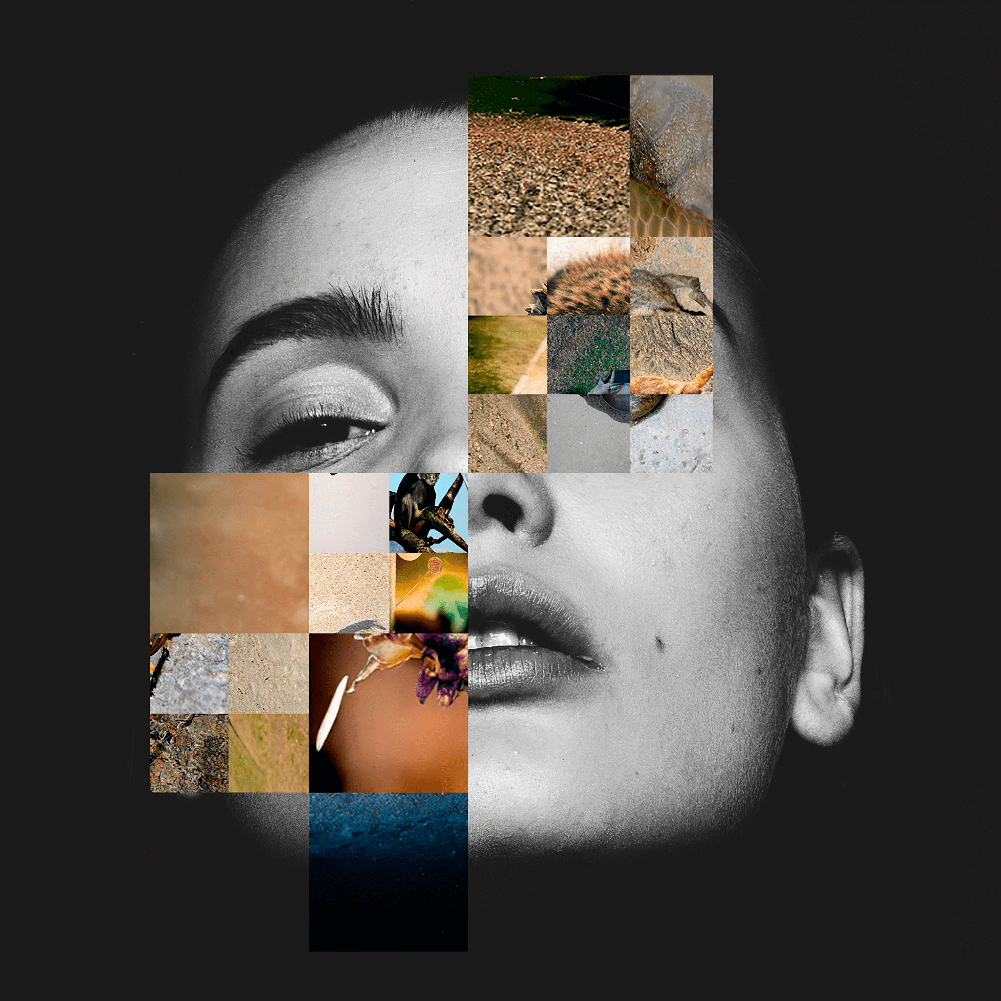 Mosaic grid over face